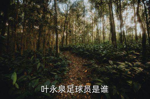 葉永泉足球員是誰