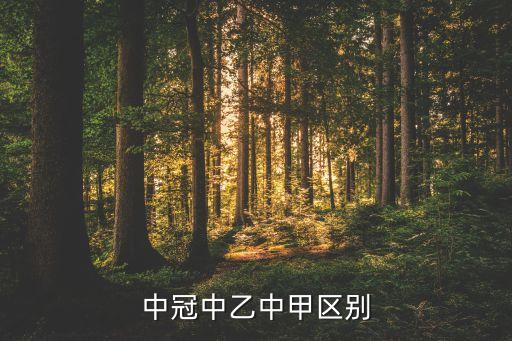 合肥市足球乙級(jí)聯(lián)賽,法國(guó)足球乙級(jí)聯(lián)賽比分