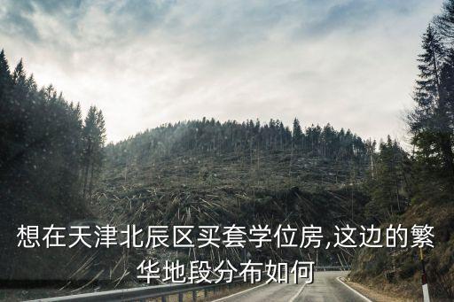 想在天津北辰區(qū)買套學(xué)位房,這邊的繁華地段分布如何