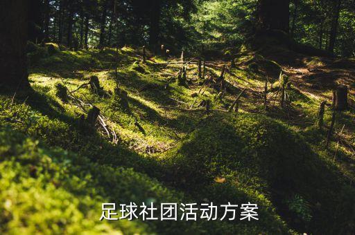  足球社團活動方案