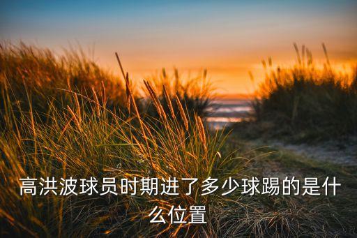 中韓 足球 高洪波,足球運(yùn)動(dòng)員高洪波的簡(jiǎn)介