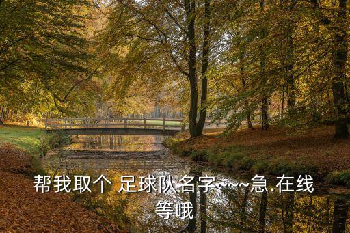 幫我取個(gè) 足球隊(duì)名字~~~急.在線等哦