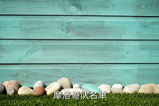 摩洛哥隊名單