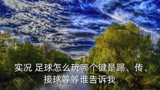  實(shí)況 足球怎么玩哪個(gè)鍵是踢、傳、接球等等誰(shuí)告訴我