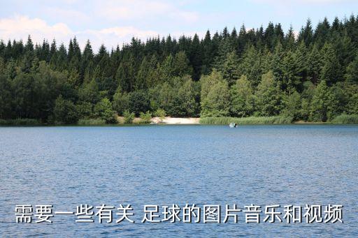 需要一些有關(guān) 足球的圖片音樂和視頻