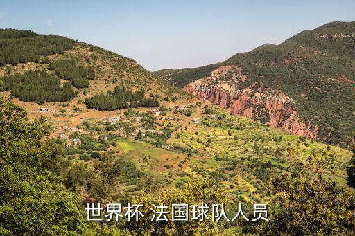 世界杯 法國(guó)球隊(duì)人員