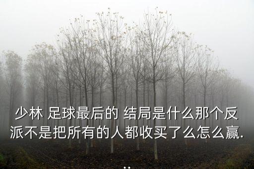 少林 足球最后的 結(jié)局是什么那個(gè)反派不是把所有的人都收買了么怎么贏...