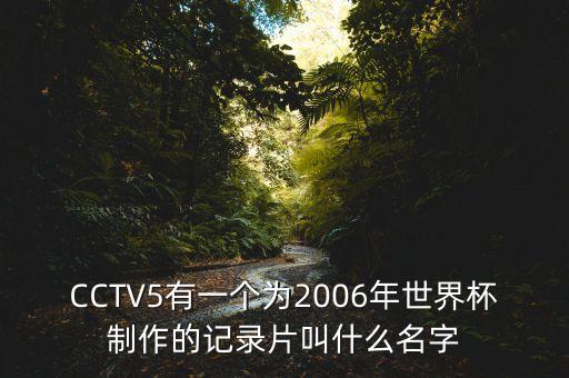 CCTV5有一個(gè)為2006年世界杯制作的記錄片叫什么名字