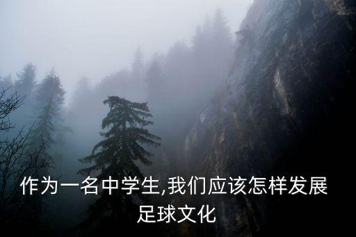 作為一名中學生,我們應該怎樣發(fā)展 足球文化