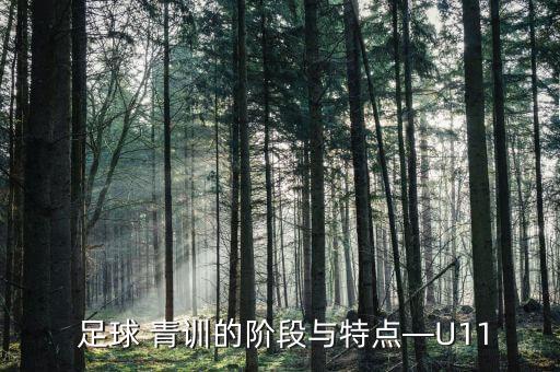  足球 青訓(xùn)的階段與特點(diǎn)—U11