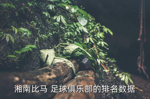 湘南比馬 足球俱樂部的排名數(shù)據(jù)