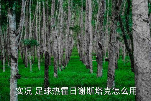 實況足球2017十大中場