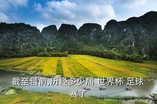 截至目前,歷經(jīng)多少屆 世界杯 足球賽了