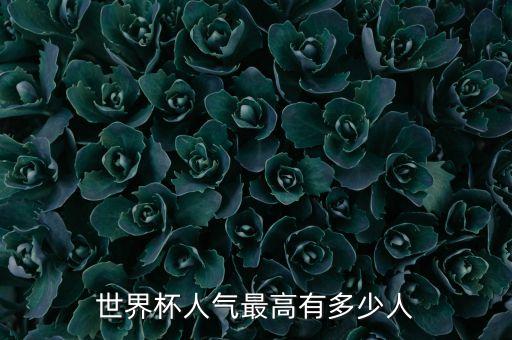美國足球大聯(lián)盟數(shù)據(jù),貝克漢姆美國足球大聯(lián)盟球隊(duì)