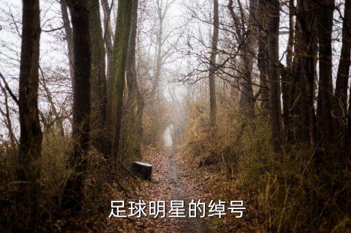 足球明星的綽號