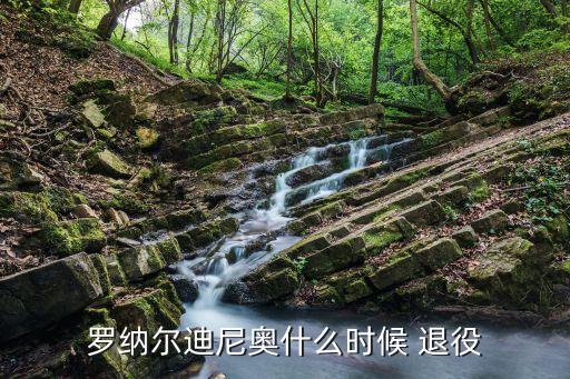 羅納爾迪尼奧什么時(shí)候 退役