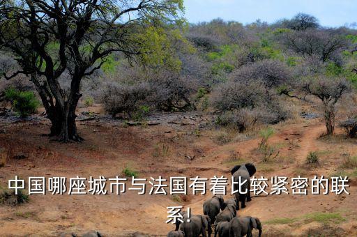 梅斯與格勒諾布足球比分預(yù)測,梅斯vs格勒諾布比分預(yù)測