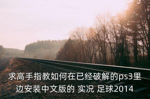 求高手指教如何在已經(jīng)破解的ps3里邊安裝中文版的 實(shí)況 足球2014