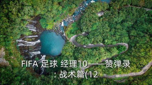 FIFA 足球 經理10——贊彈錄: 戰(zhàn)術篇(12
