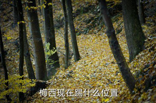 梅西足球運(yùn)動(dòng)員