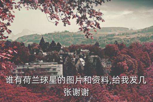 誰(shuí)有荷蘭球星的圖片和資料,給我發(fā)幾張謝謝