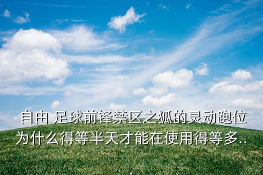  自由 足球前鋒禁區(qū)之狐的靈動跑位為什么得等半天才能在使用得等多...