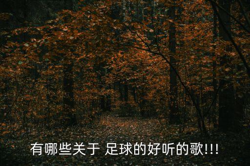 有哪些關(guān)于 足球的好聽的歌!!!