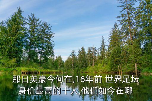 那日英豪今何在,16年前 世界足壇身價最高的十人,他們?nèi)缃裨谀? class=