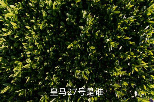 皇馬27號(hào)是誰