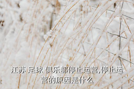 江蘇 足球 俱樂(lè)部停止運(yùn)營(yíng),停止運(yùn)營(yíng)的原因是什么