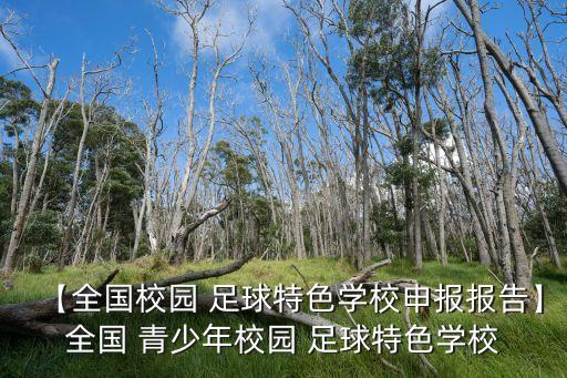 【全國校園 足球特色學(xué)校申報(bào)報(bào)告】全國 青少年校園 足球特色學(xué)校