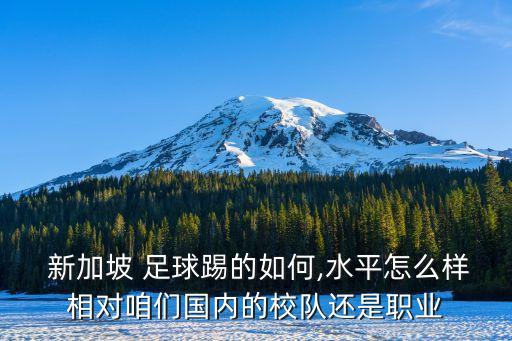  新加坡 足球踢的如何,水平怎么樣相對(duì)咱們國(guó)內(nèi)的校隊(duì)還是職業(yè)