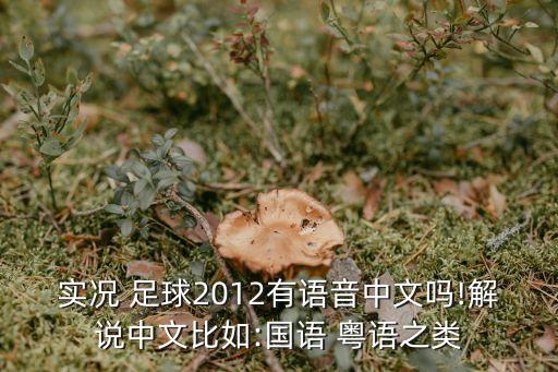 實(shí)況 足球2012有語音中文嗎!解說中文比如:國(guó)語 粵語之類