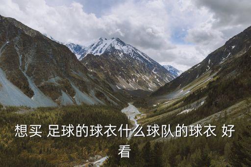 想買 足球的球衣什么球隊的球衣 好看