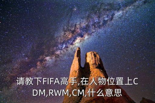 請教下FIFA高手,在人物位置上CDM,RWM,CM,什么意思
