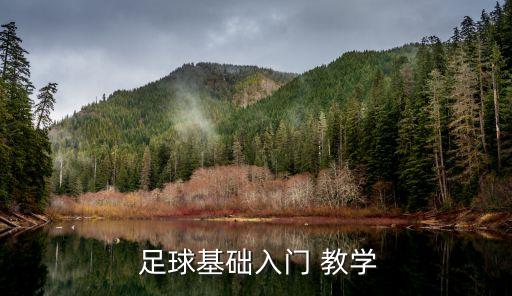 新手足球技巧視頻教學視頻,足球防守技巧視頻教學
