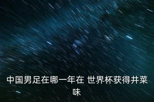 中國(guó)男足在哪一年在 世界杯獲得井菜味