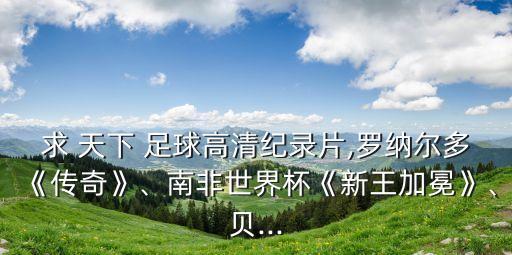 求 天下 足球高清紀(jì)錄片,羅納爾多《傳奇》、南非世界杯《新王加冕》、貝...