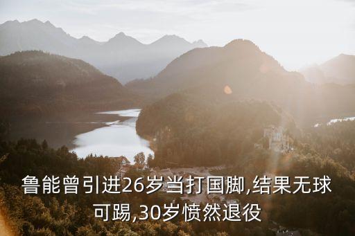 魯能曾引進26歲當打國腳,結(jié)果無球可踢,30歲憤然退役