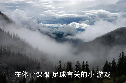 在體育課跟 足球有關(guān)的小 游戲