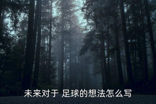 踢足球的看法,對(duì)踢足球的看法