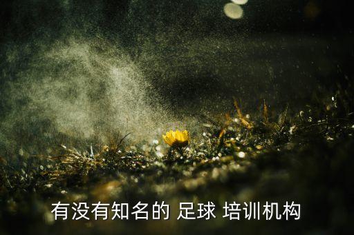 少年足球培訓(xùn)資源,長(zhǎng)沙哪里有少年足球培訓(xùn)的