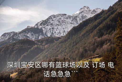 仁德足球公園訂場電話,成都新仁德足球公園收費標準