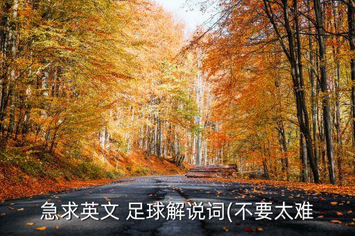 急求英文 足球解說(shuō)詞(不要太難