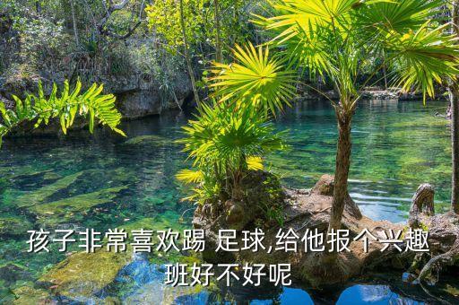 孩子非常喜歡踢 足球,給他報個興趣班好不好呢