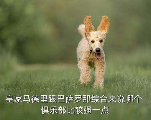 俱樂(lè)部足球隊(duì)收入排名,意大利俱樂(lè)部足球隊(duì)排名