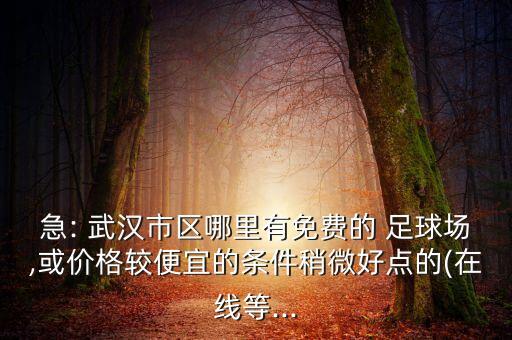 武漢休閑足球群,武漢業(yè)余足球群