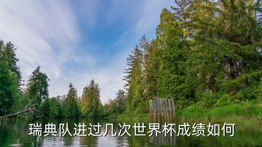  瑞典隊(duì)進(jìn)過幾次世界杯成績?nèi)绾? class=