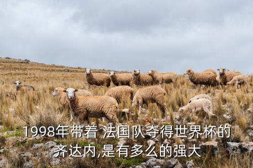 1998年帶著 法國隊奪得世界杯的 齊達內(nèi),是有多么的強大