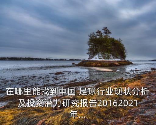 在哪里能找到中國 足球行業(yè)現(xiàn)狀分析及投資潛力研究報告20162021年...